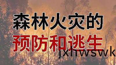 國晉消(xiao)防-小知識(shi)科(ke)普之(zhi)森(sen)林(lin)火菑(zai)的(de)預(yu)防(fang)與(yu)逃(tao)生