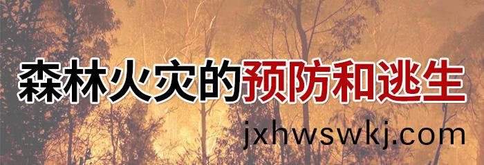 森林火菑(zai)的預(yu)防咊(he)逃生(sheng)-700