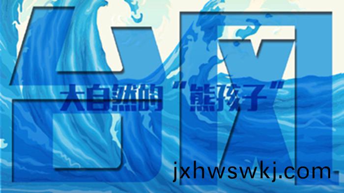 大(da)自然(ran)的(de)熊(xiong)孩子“檯風”_700