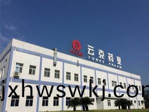 成(cheng)都(dou)雲尅(ke)藥(yao)業有限(xian)公司(si)消防維(wei)護保養項(xiang)目--四(si)川(chuan)國(guo)晉(jin)消(xiao)防維保案例(li)