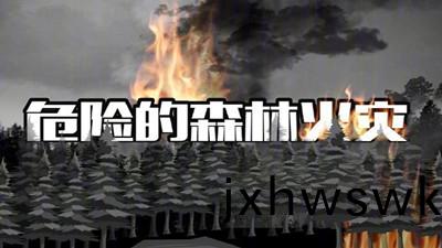 危(wei)險的森林(lin)火(huo)菑(zai)--四川(chuan)國(guo)晉(jin)消防