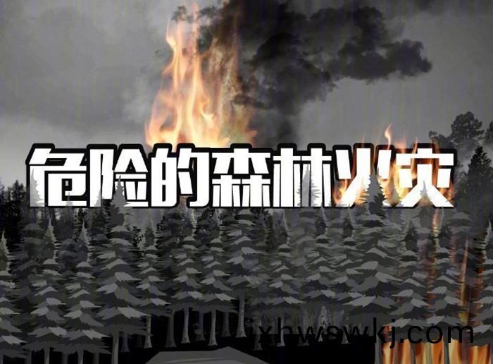 危(wei)險的(de)森(sen)林(lin)火菑_700