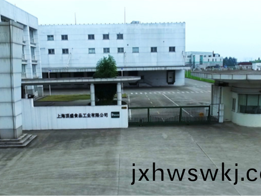 上海頂(ding)盛食(shi)品有限公司成(cheng)都分公司(si)消(xiao)防(fang)係(xi)統維護保(bao)養工程(cheng)---國(guo)晉(jin)消(xiao)防(fang)維保案例