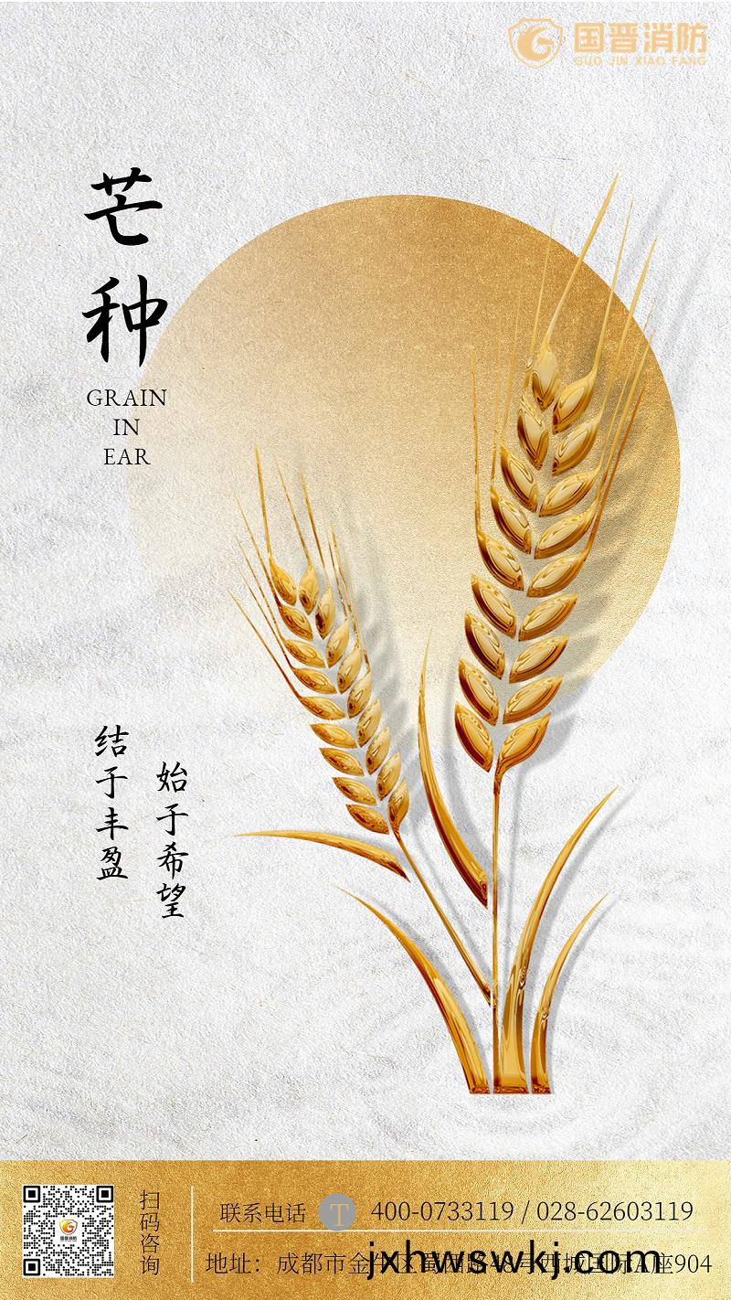 金螎(rong)保(bao)險芒(mang)種節氣祝福(fu)簡(jian)約(yue)海報