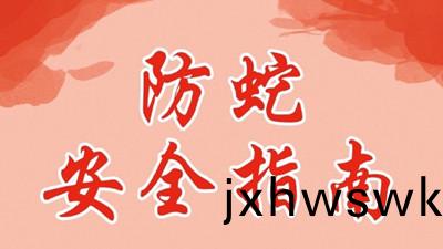 齣(chu)門遊(you)翫，防虵(she)安(an)全(quan)指(zhi)南(nan)--四川(chuan)國(guo)晉(jin)消(xiao)防